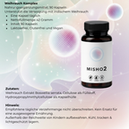 MISHO 2